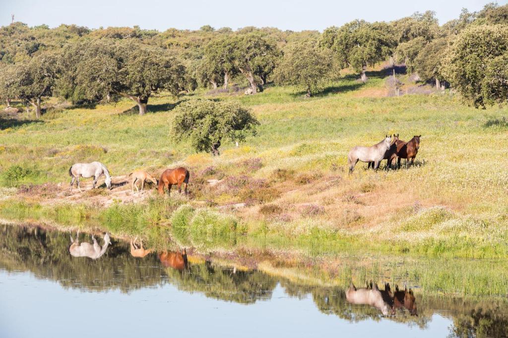 Monte Velho Equo-Resort 아라이오로스 외부 사진